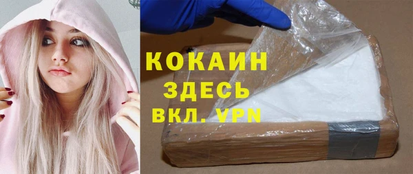 мдпв Вяземский