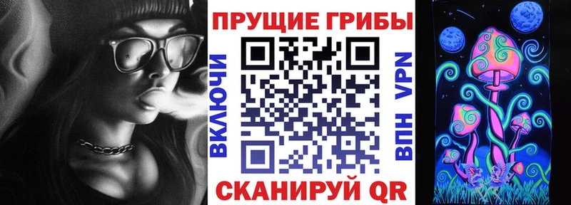 Псилоцибиновые грибы Psilocybine cubensis  Купить закладки  Луга 